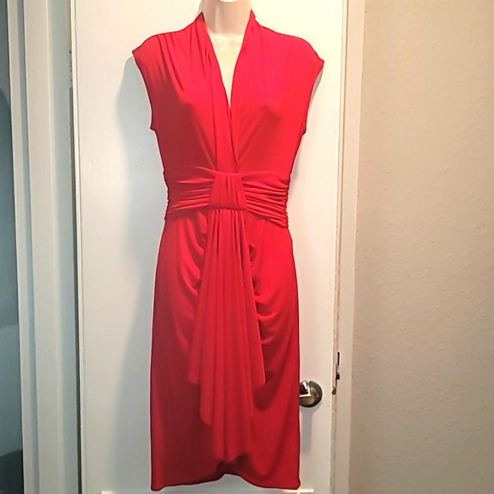 Gorgeous Max and Cleo Dress 4